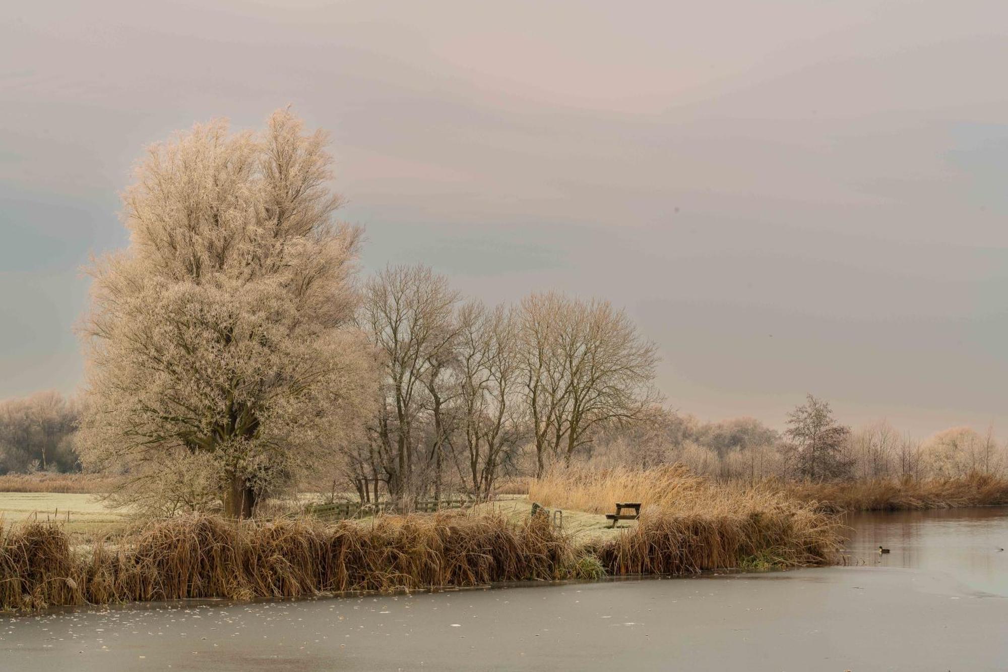 Aan De Amstel Vila De Kwakel Exterior foto